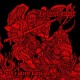 HELLSCOURGE - Hell's Wrath Battalion CD